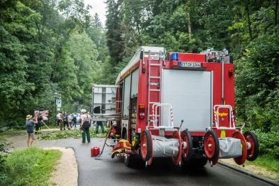 Hayingen: 3 grosse Baeume stuerzen auf Weg zur Wimsener Hoehle - Feuerwehr beseitigt Sturmschaden
